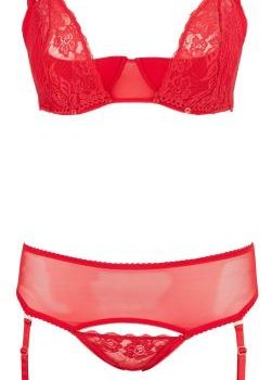 3 delige BH-Set Met Kwart Cups - Rood 3 delige BH-Set Met Kwart Cups - Rood
